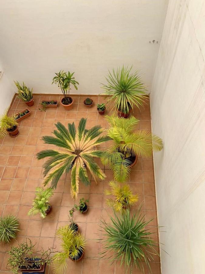 Apartamento En El Centro, Tranquilo Y Luminoso 말라가 외부 사진